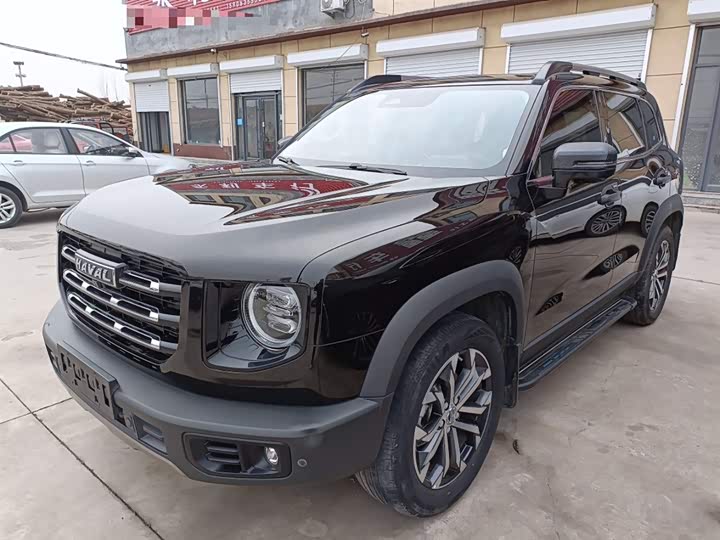 Фото 2 - Haval Dargo