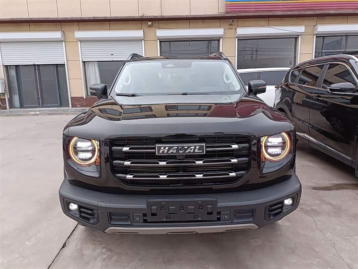 Фото 3 - Haval Dargo