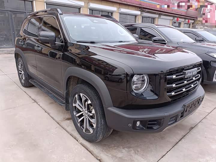 Фото 4 - Haval Dargo