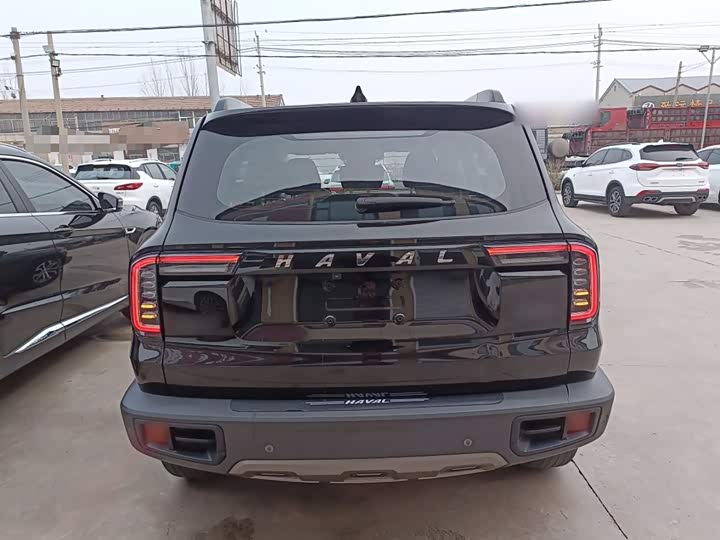 Фото 6 - Haval Dargo