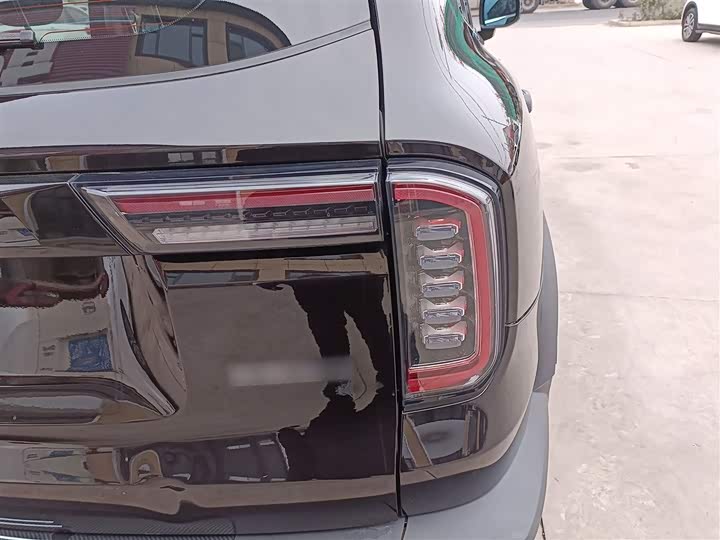 Фото 8 - Haval Dargo