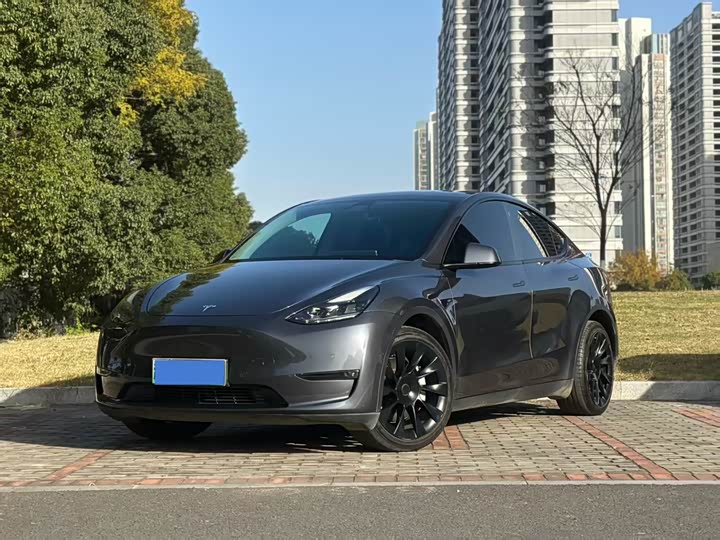 Фото 1 - Tesla Model Y