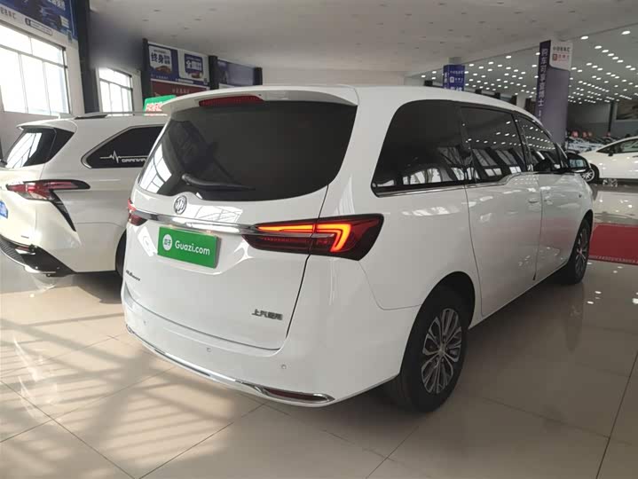 Фото 7 - Buick GL8 ES