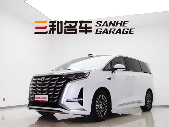 Фото 1 - Denza D9