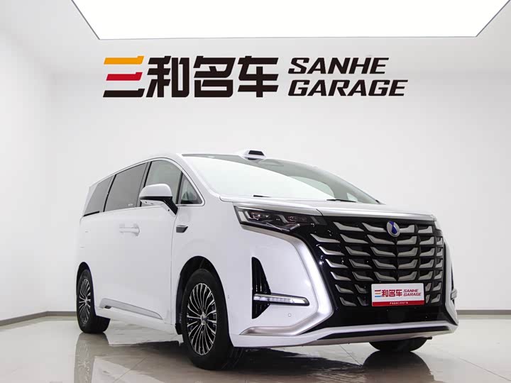 Фото 2 - Denza D9