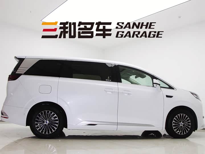 Фото 3 - Denza D9