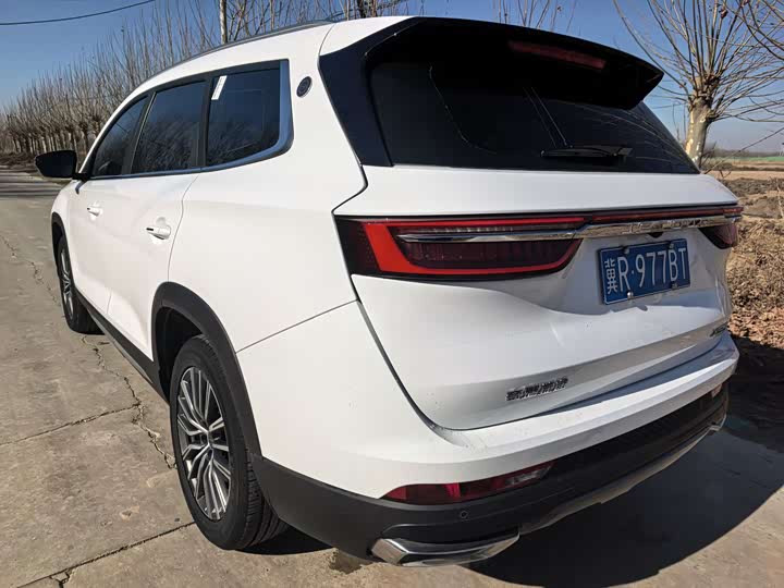 Фото 6 - Jetour X95