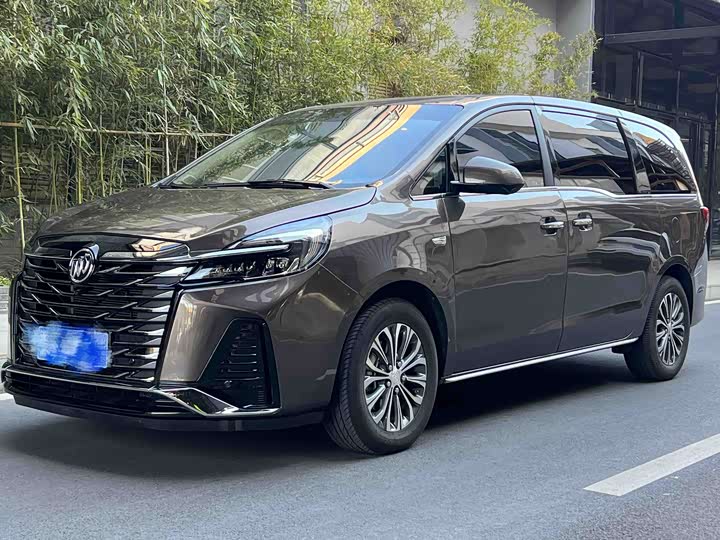 Фото 3 - Buick GL8 ES