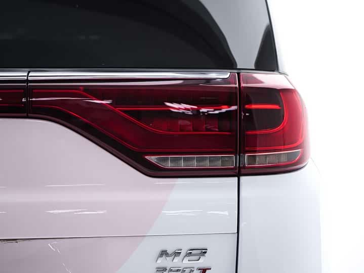 Фото 6 - GAC Trumpchi M8