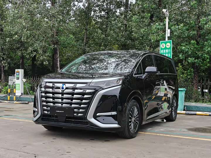 Фото 1 - Denza D9