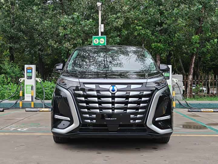 Фото 2 - Denza D9