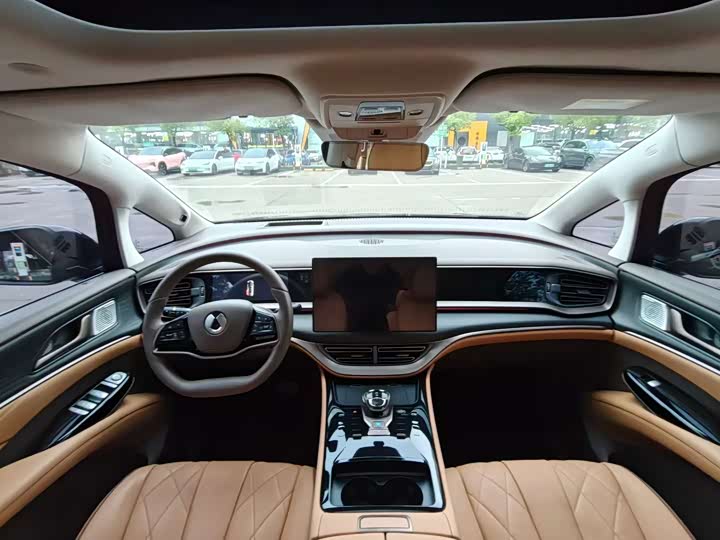 Фото 6 - Denza D9