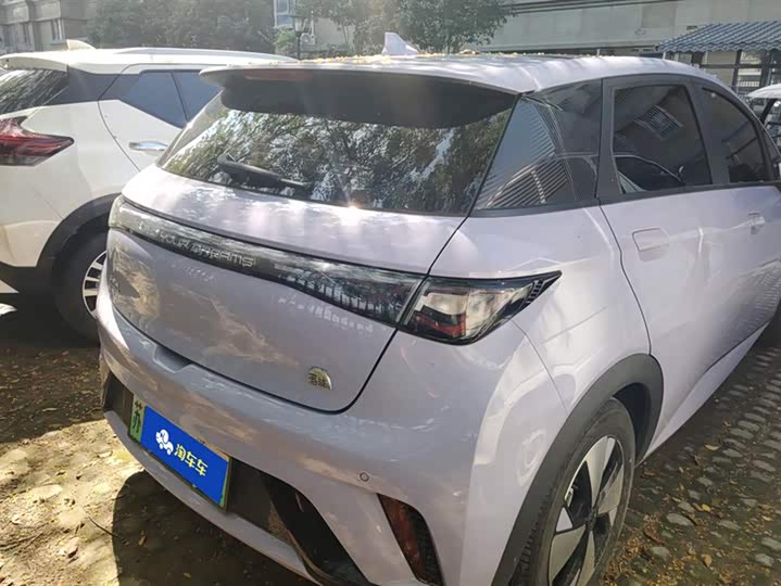 Фото 3 - BYD Dolphin