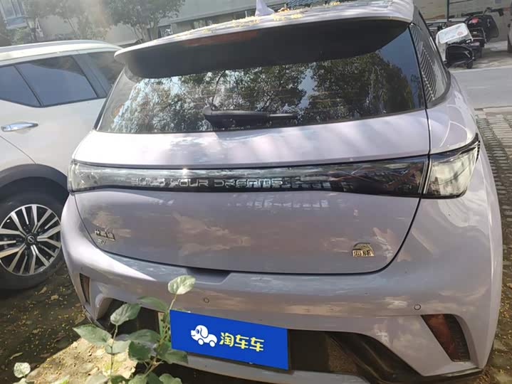 Фото 4 - BYD Dolphin