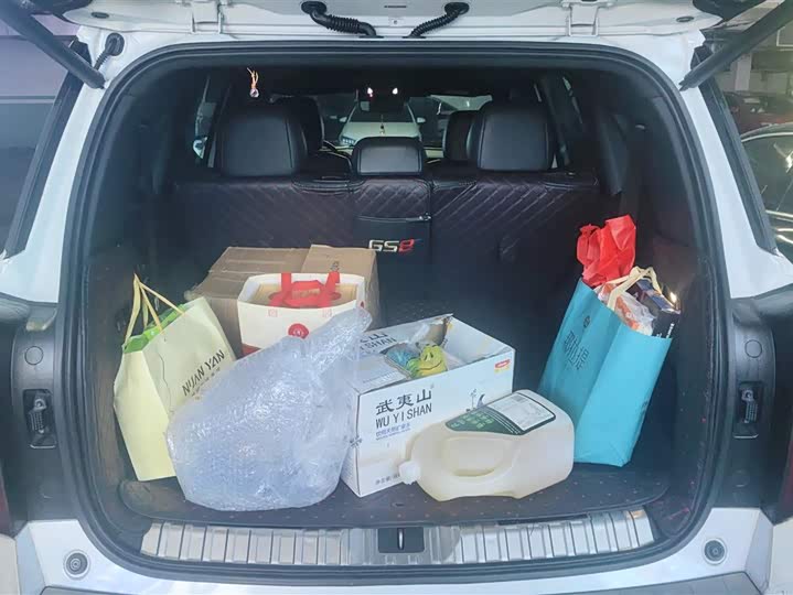 Фото 4 - GAC Trumpchi GS8