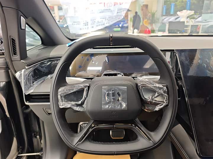 Фото 4 - HiPhi X