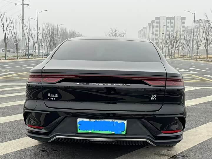 Фото 8 - BYD Han