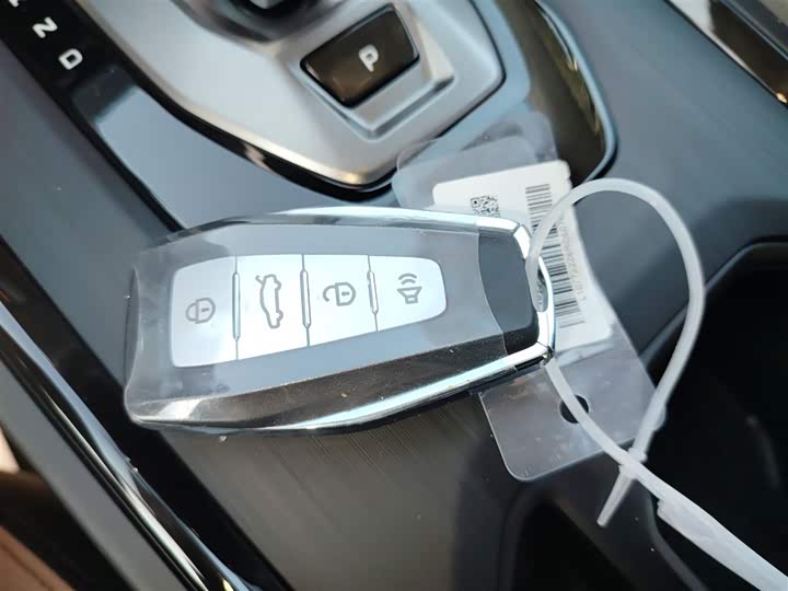 Фото 9 - Geely Okavango Pro