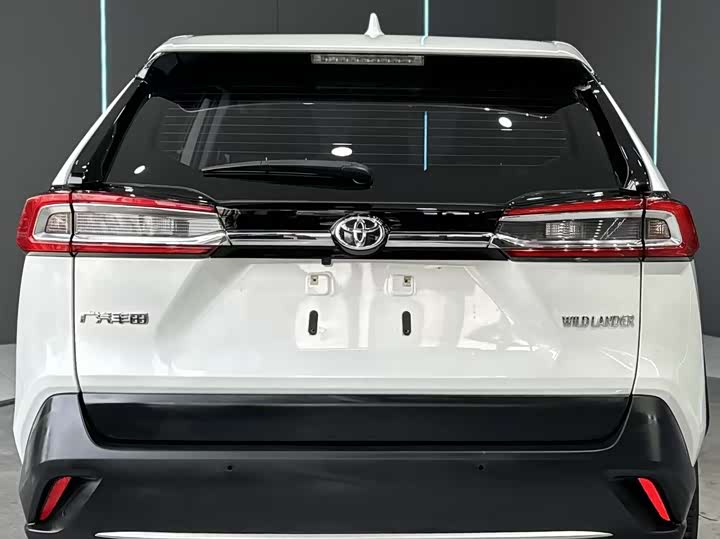 Фото 7 - Toyota Wildlander