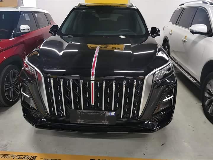 Фото 2 - Hongqi HS5
