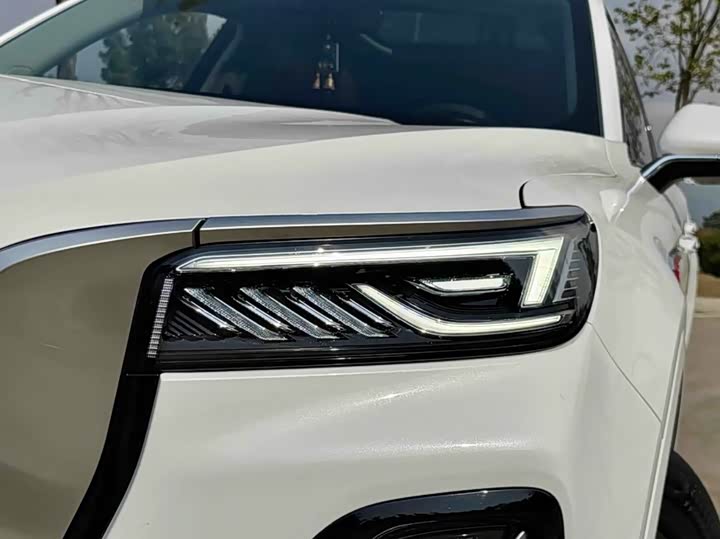 Фото 2 - Hongqi HS5