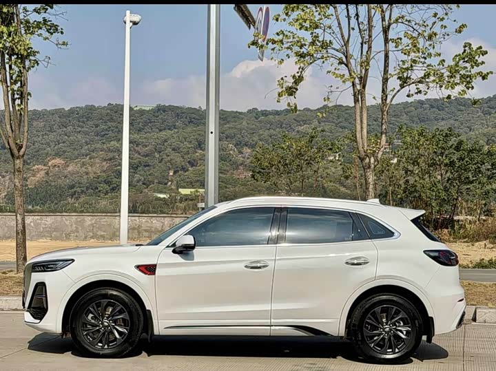 Фото 4 - Hongqi HS5