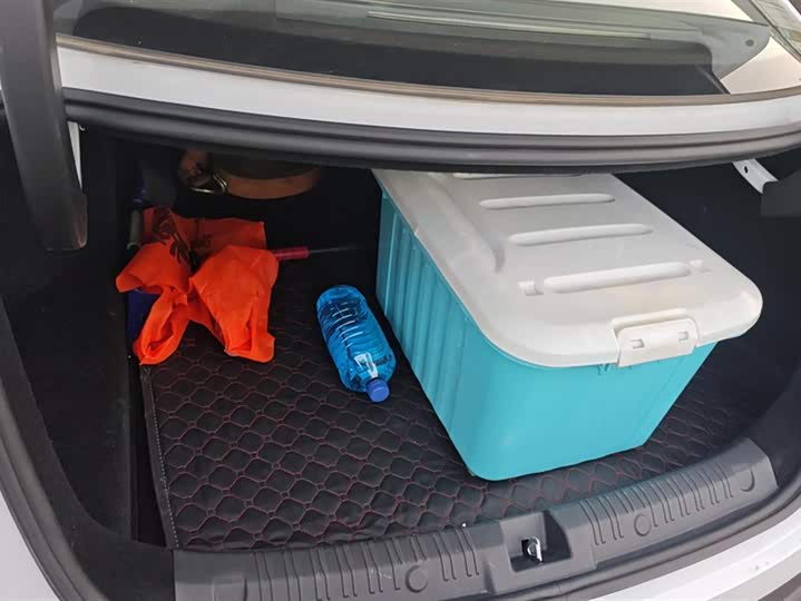 Фото 4 - BYD Qin L