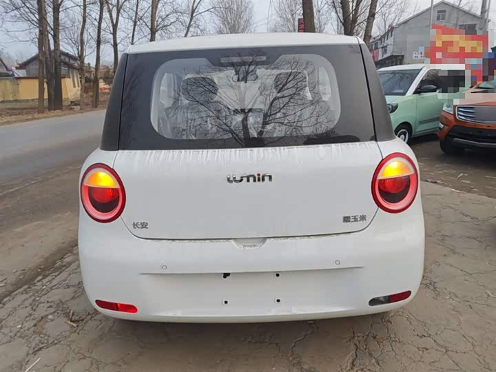 Фото 6 - Changan Qiyuan (Nevo) Lumin