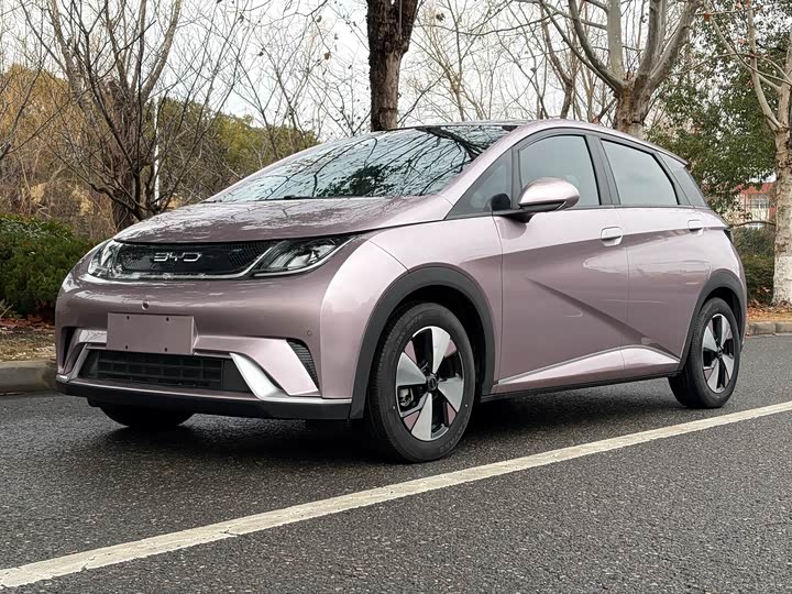 Фото 1 - BYD Dolphin