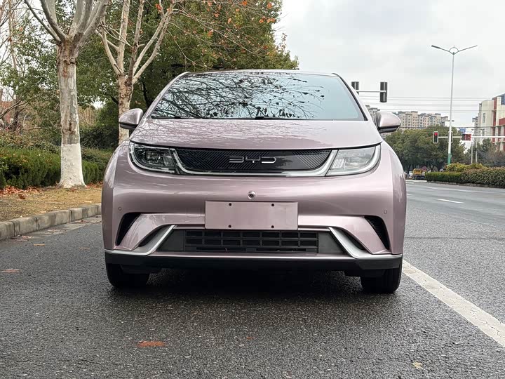 Фото 2 - BYD Dolphin