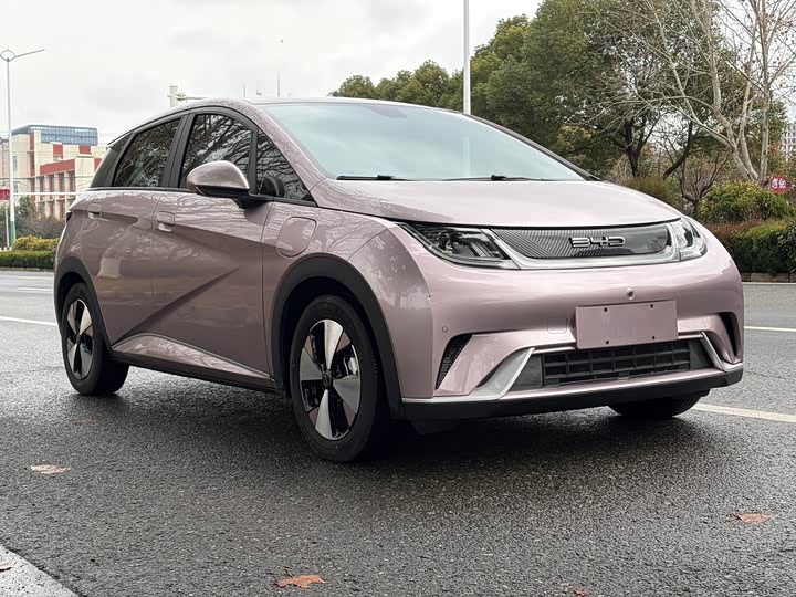 Фото 3 - BYD Dolphin