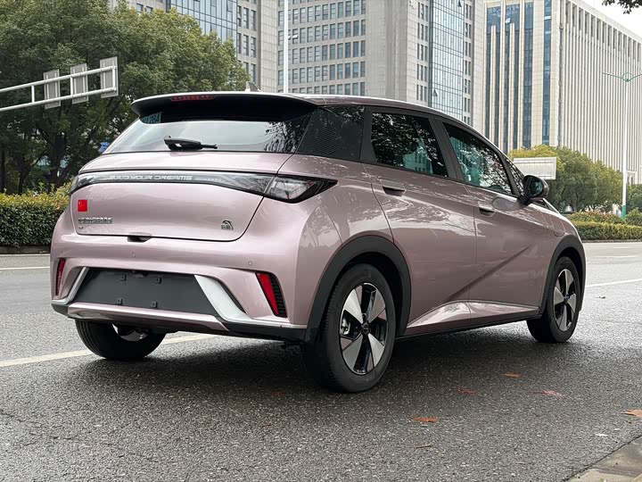 Фото 4 - BYD Dolphin