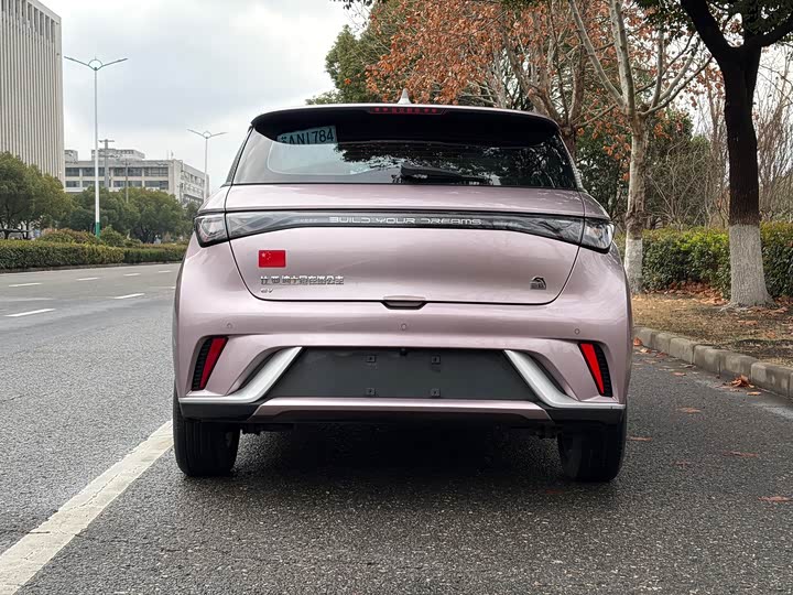 Фото 5 - BYD Dolphin