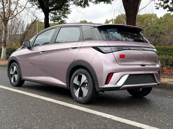 Фото 6 - BYD Dolphin