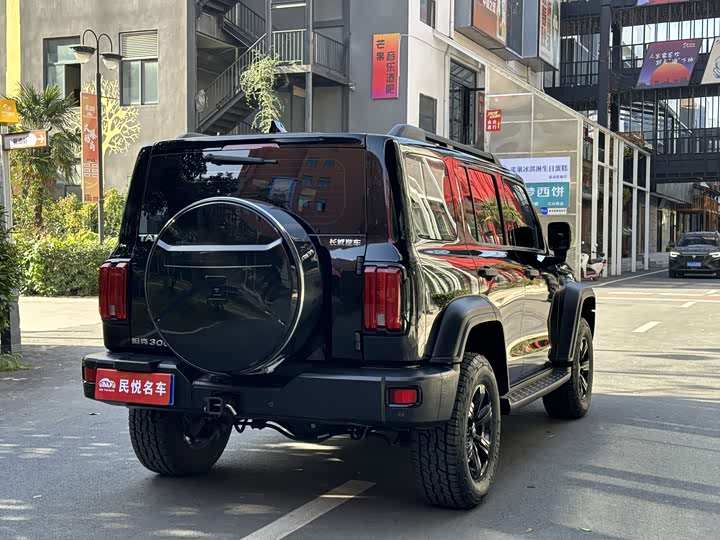 Фото 7 - Tank 300