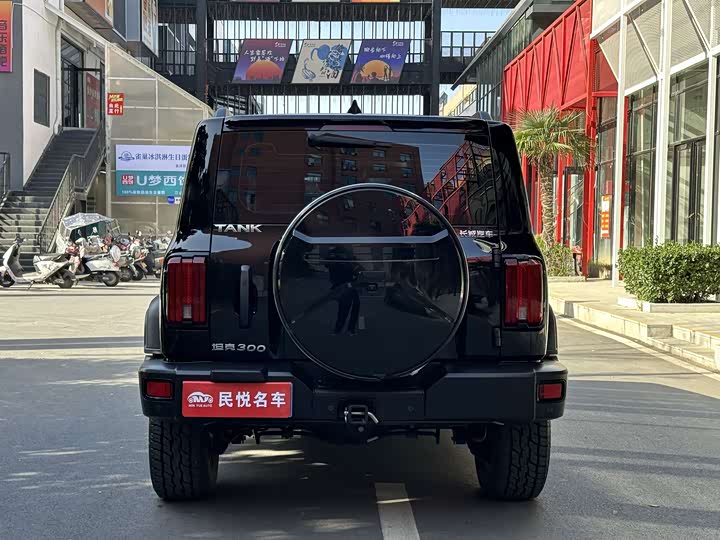 Фото 8 - Tank 300