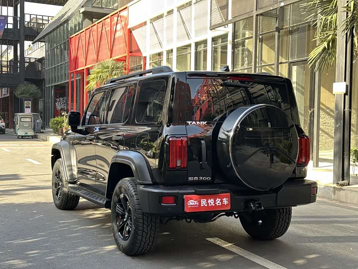 Фото 9 - Tank 300