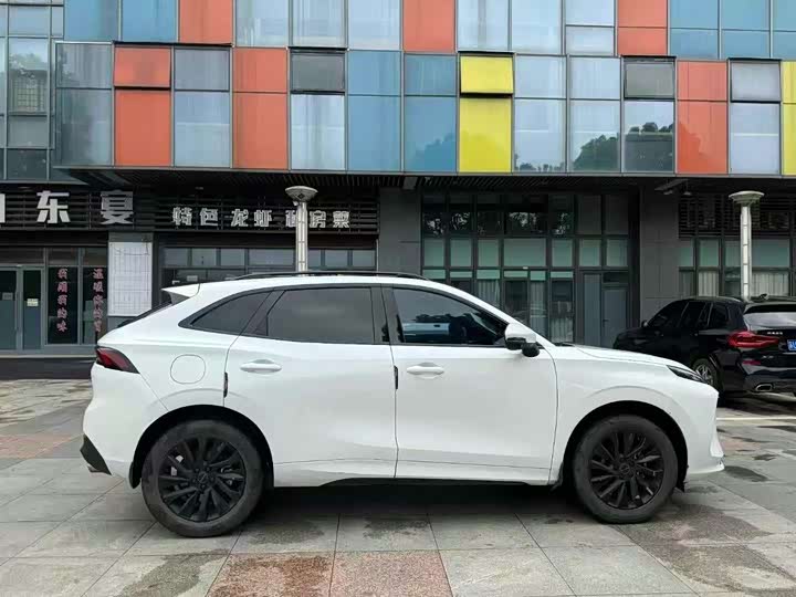 Фото 4 - Dongfeng Forthing T5