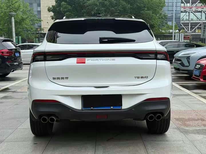 Фото 5 - Dongfeng Forthing T5