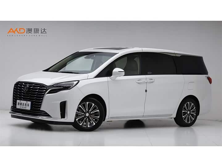 Фото 1 - Buick GL8 ES