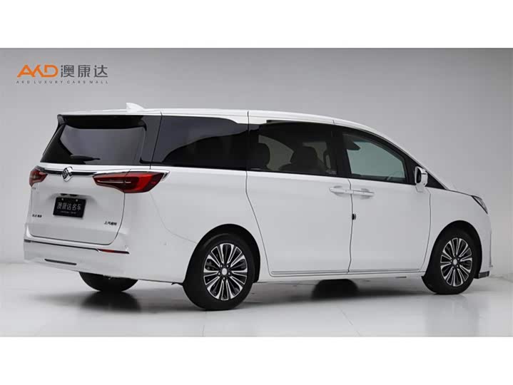 Фото 3 - Buick GL8 ES