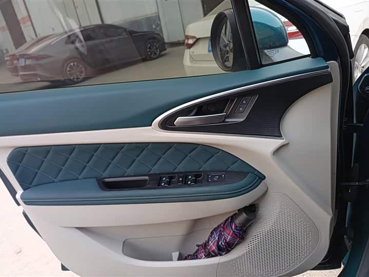 Фото 7 - Ora Good Cat GT (03 GT)