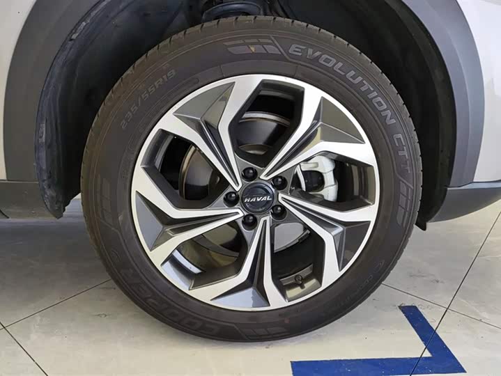 Фото 6 - Haval F7 (Monster)