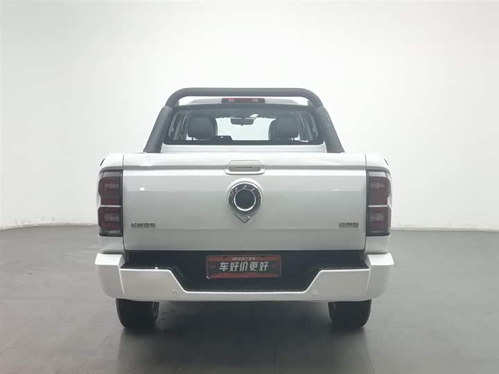 Фото 4 - Great Wall King Kong Poer