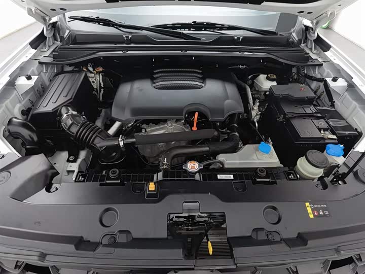 Фото 6 - Great Wall King Kong Poer