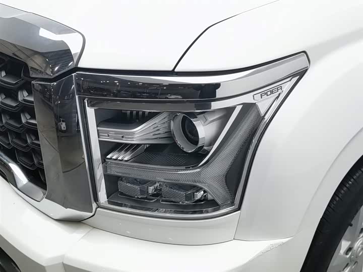 Фото 7 - Great Wall King Kong Poer