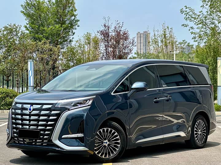 Фото 1 - Denza D9