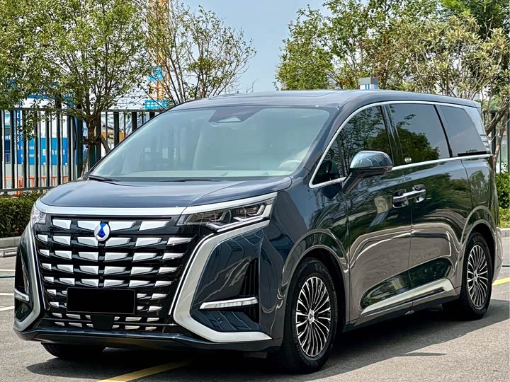 Фото 2 - Denza D9