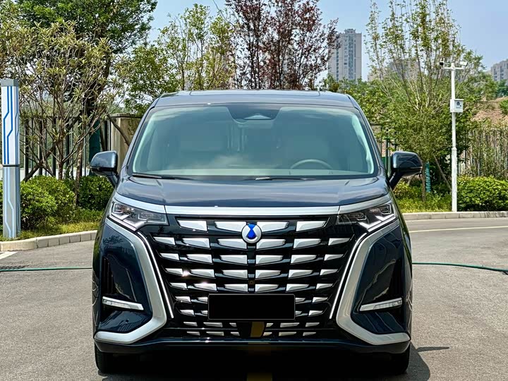 Фото 3 - Denza D9