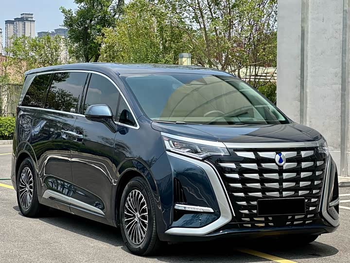 Фото 4 - Denza D9